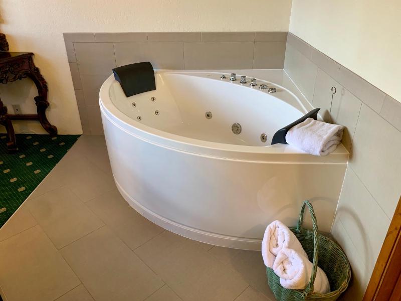 Deluxe Suite image 2