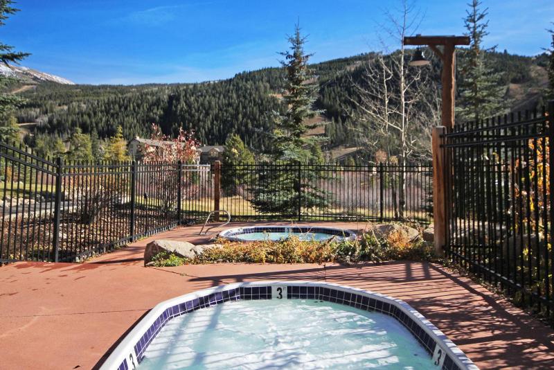 2674 Tenderfoot Lodge Condo - image 23