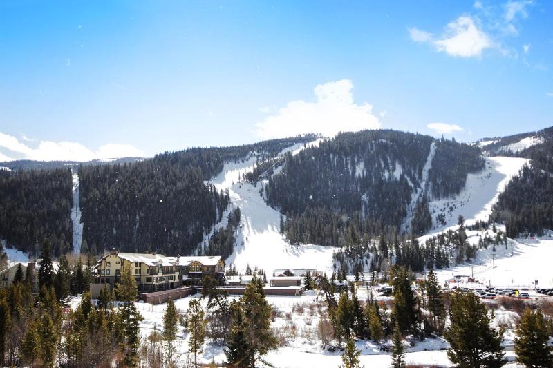 2674 Tenderfoot Lodge Condo - image 25