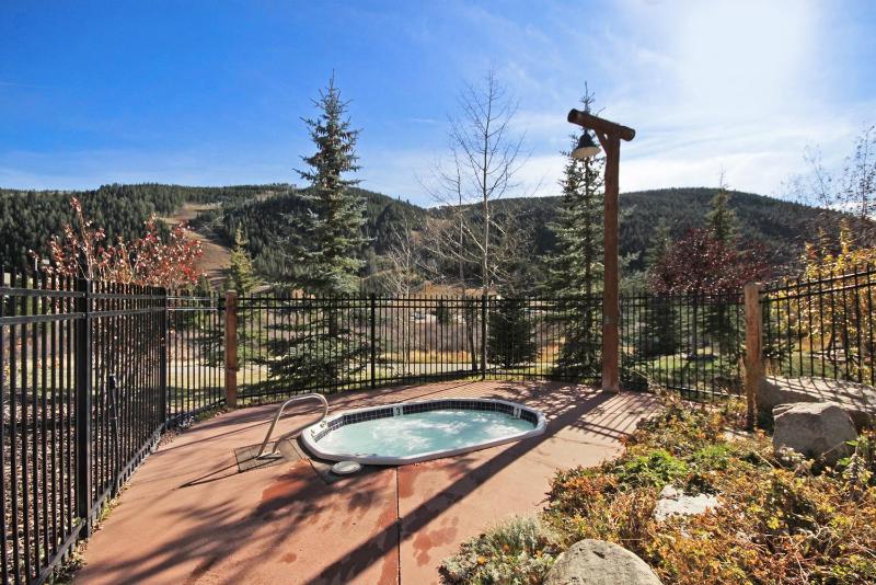 2674 Tenderfoot Lodge Condo - image 13