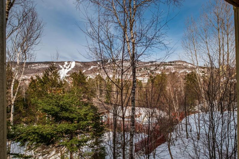 Tremblant Les Eaux by Rendez-Vous Mont-Tremblant - image 34