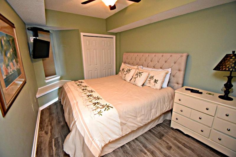 One-Bedroom Apartment image 3