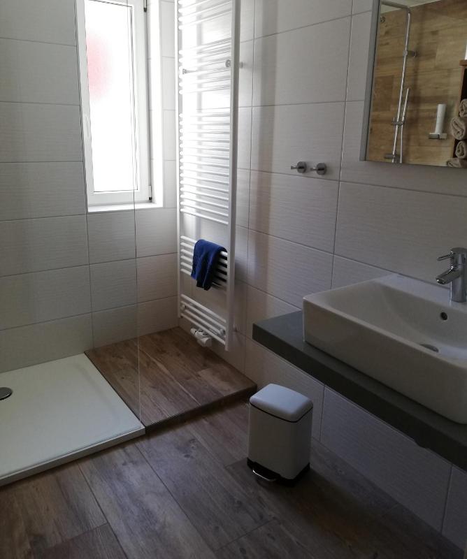 One-Bedroom Apartment image 4