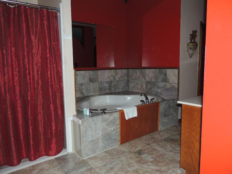 Deluxe King Suite image 2