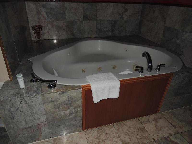Deluxe King Suite image 4
