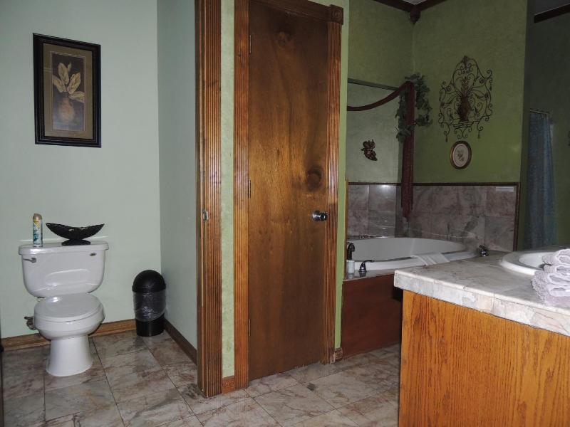 Deluxe King Suite image 2