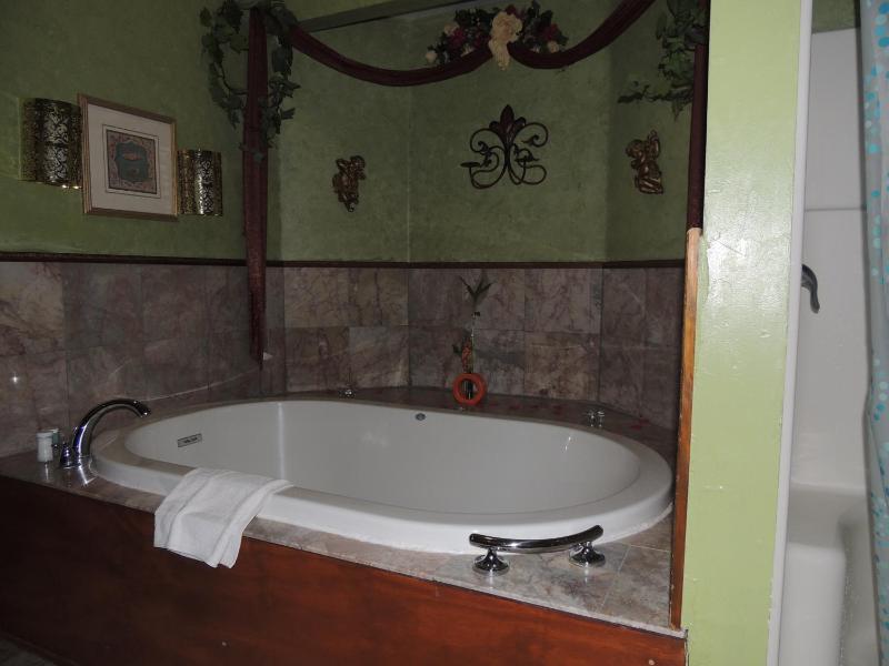 Deluxe King Suite image 4