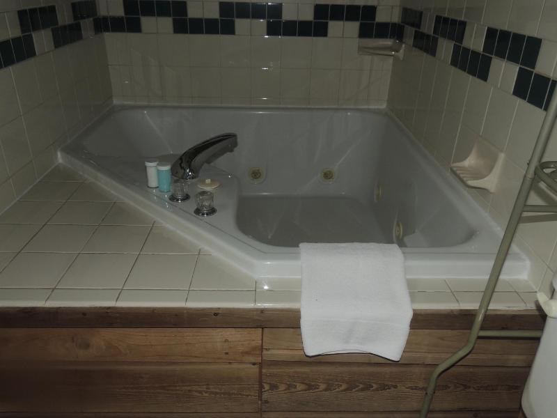Deluxe Suite image 2