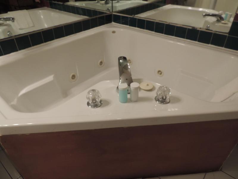 Deluxe Room image 3