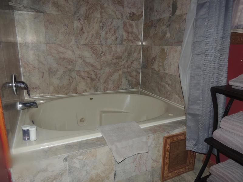 Deluxe Suite image 3