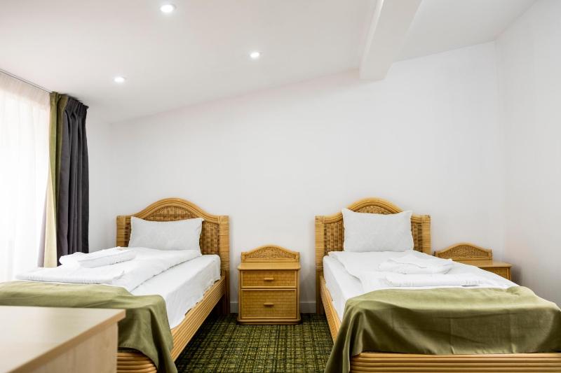 Standard Twin Room image 2