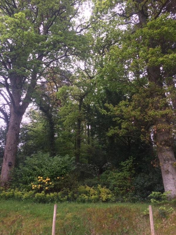 Claremont House Keswick - image 3