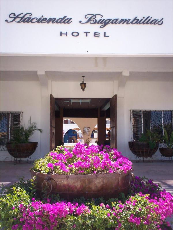 Hotel Hacienda Bugambilias La Paz - image 8
