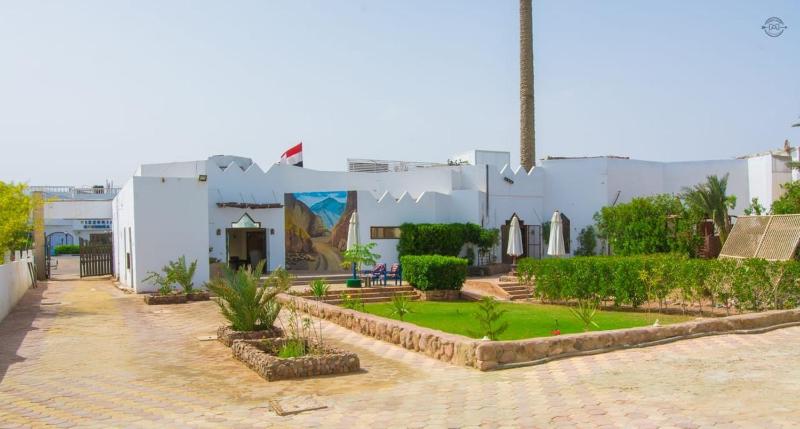 Dyarna Dahab Hotel - image 44