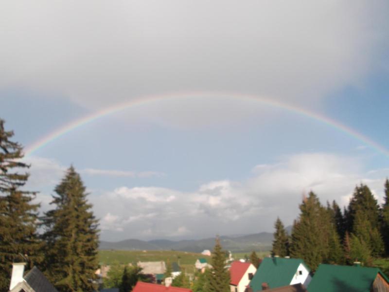 One-Bedroom Apartment image 1