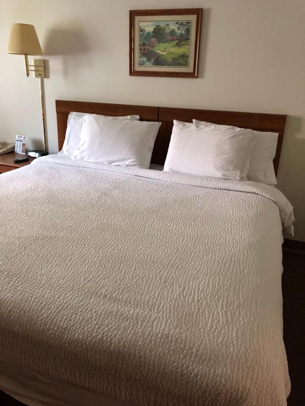 Family Room - Disability Access image 4