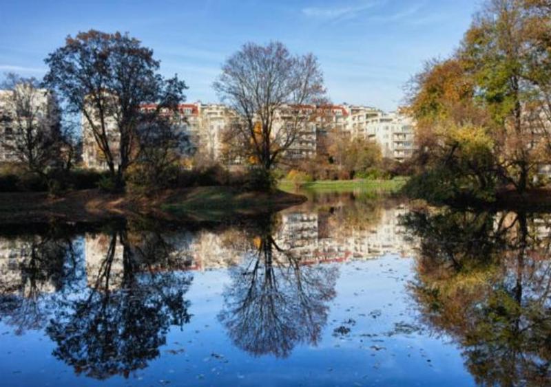 Studio Apartment image 4