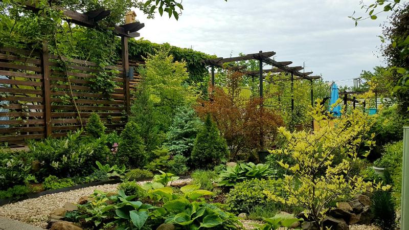 Studio with Garden View image 2