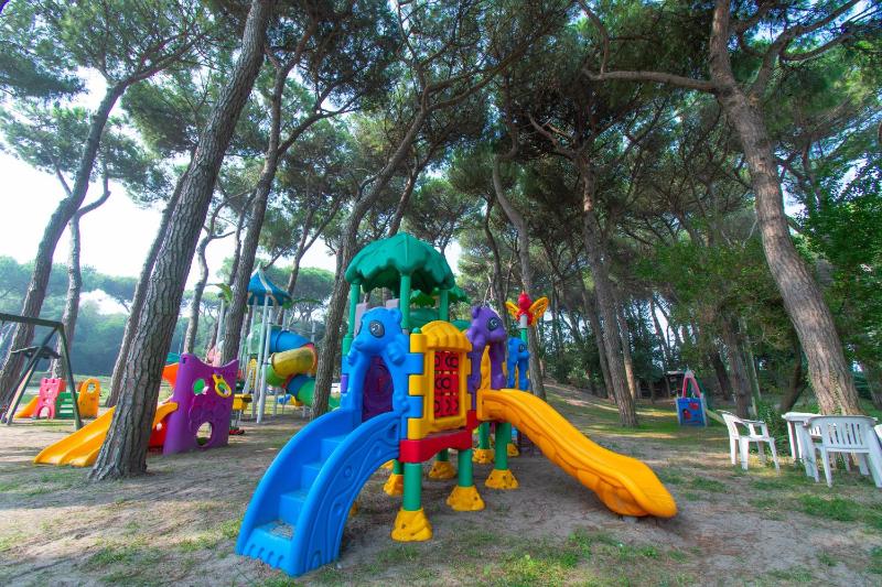Le Primule - image 7