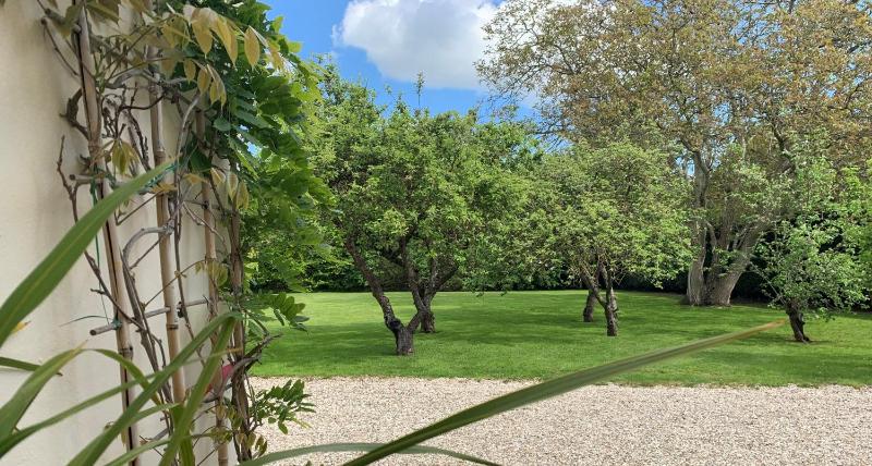 Double Room with Garden View image 3