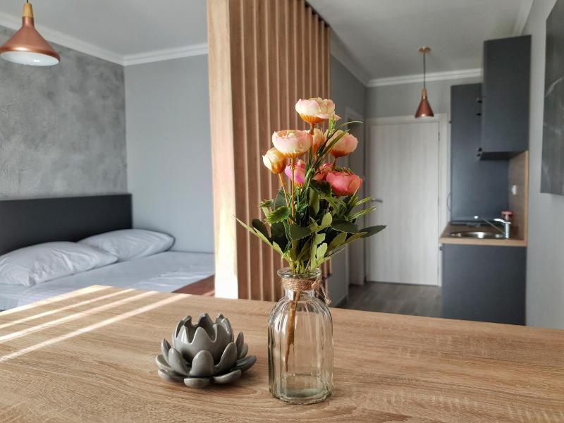 Studio Apartment with Sea View image 1
