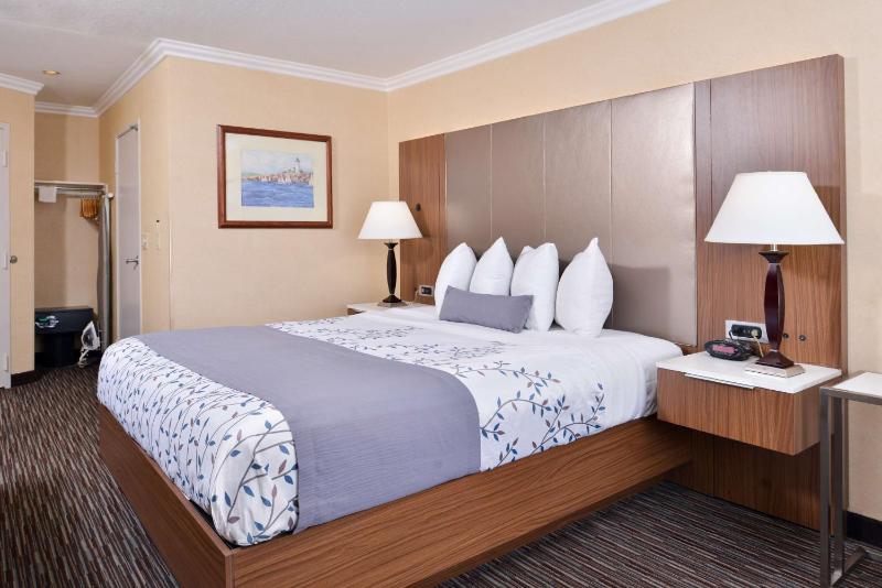 King Room - Non-Smoking image 1
