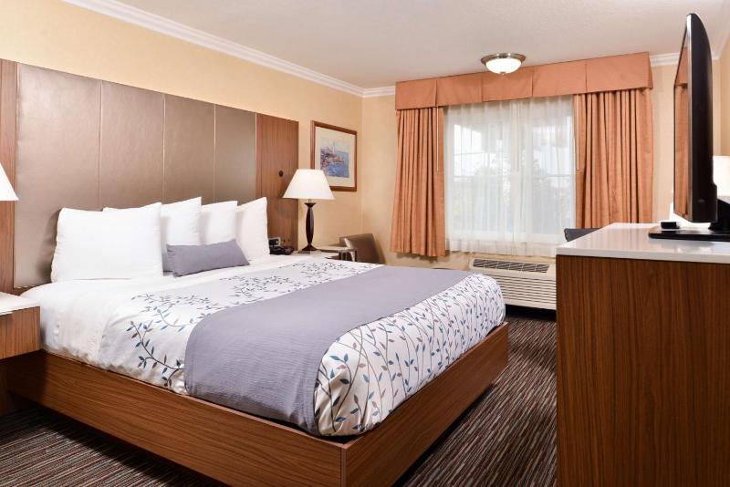 King Room - Non-Smoking image 3