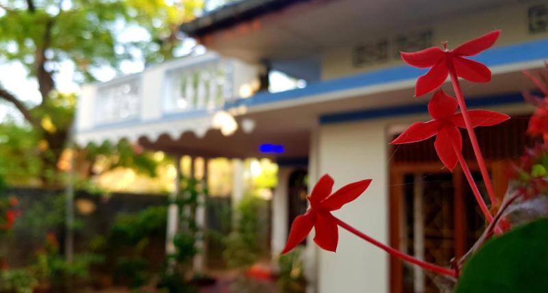Breeze Guest House - image 12