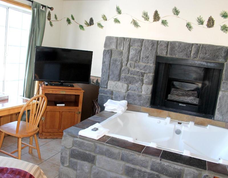 Fireside Lodge - image 50