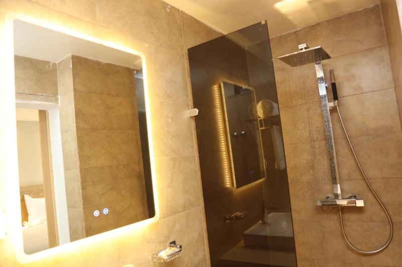Vamos Addis Hotel - image 4