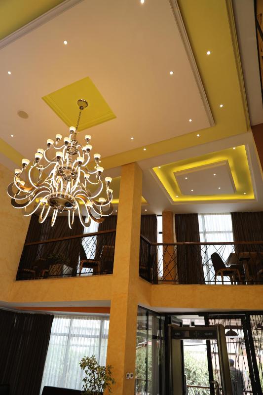 Vamos Addis Hotel - image 9