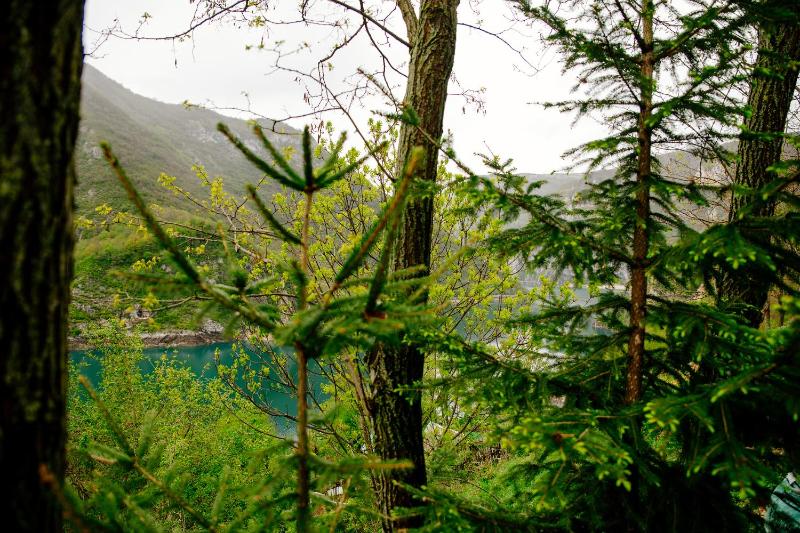 Deluxe Apartment image 4