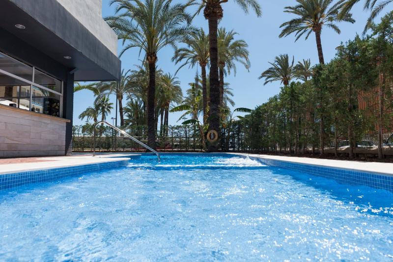Hotel El Palmeral - image 17