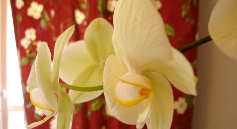 Double Room with Private External Bathroom image 3