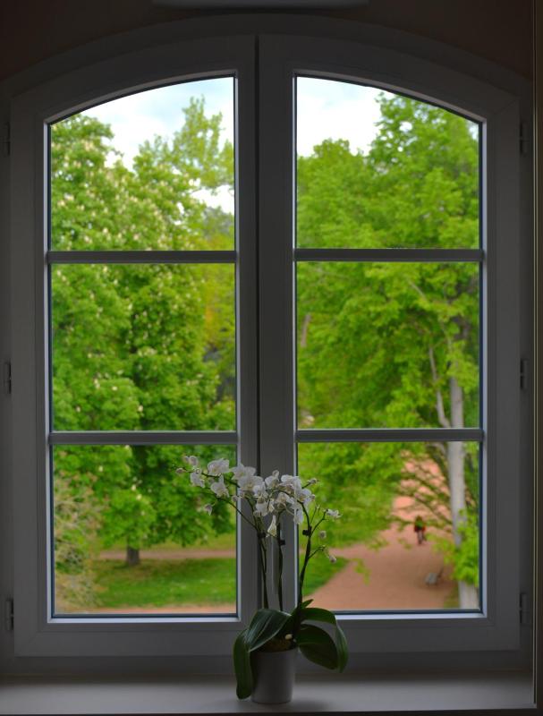 Deluxe Suite image 2