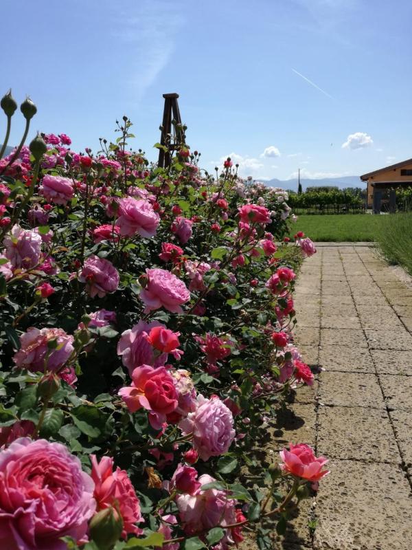Il Fienile di Assisi - image 15