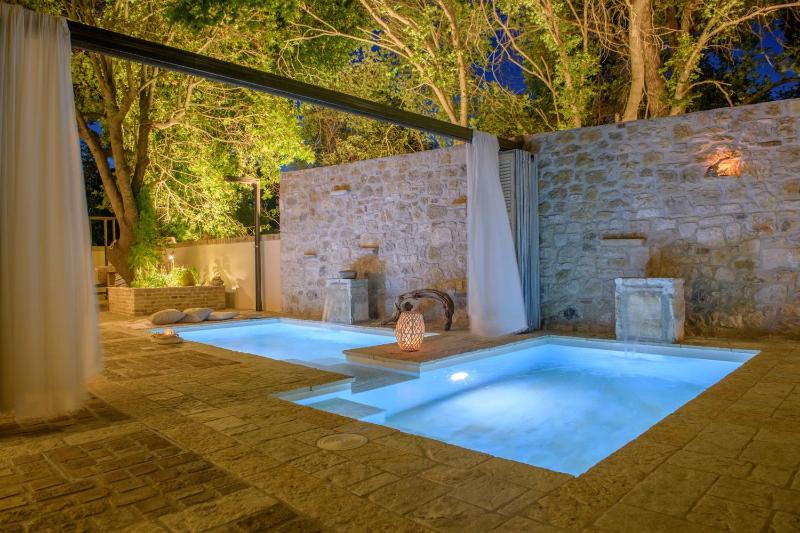 Suite with Private Pool image 2