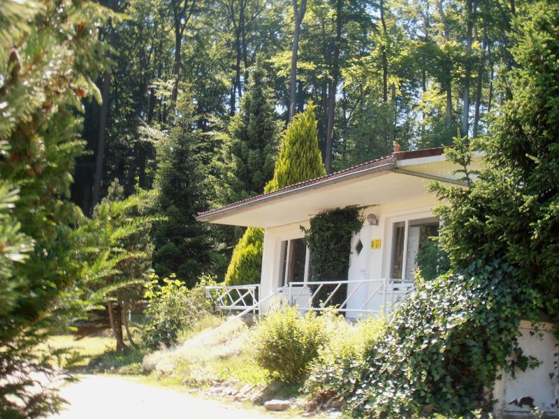 Twin Room with Terrace image 4