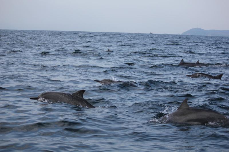 Breeze Guest House - image 36