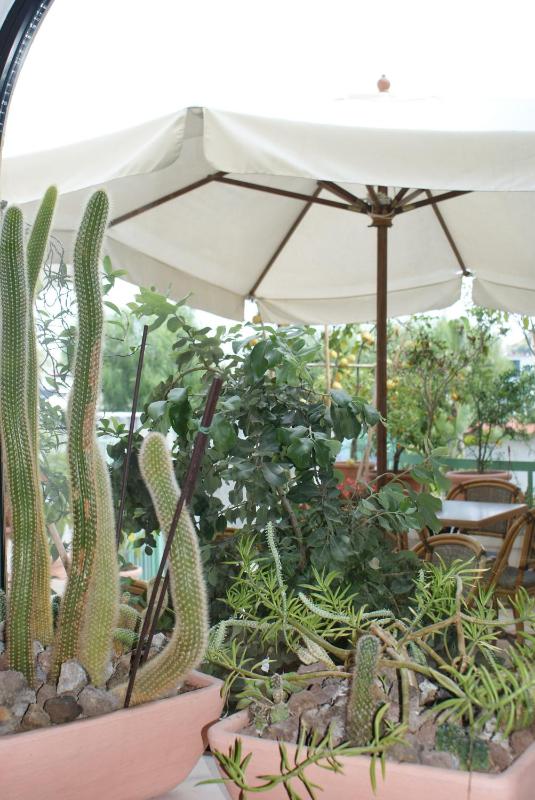 Villa Ciccio - image 28