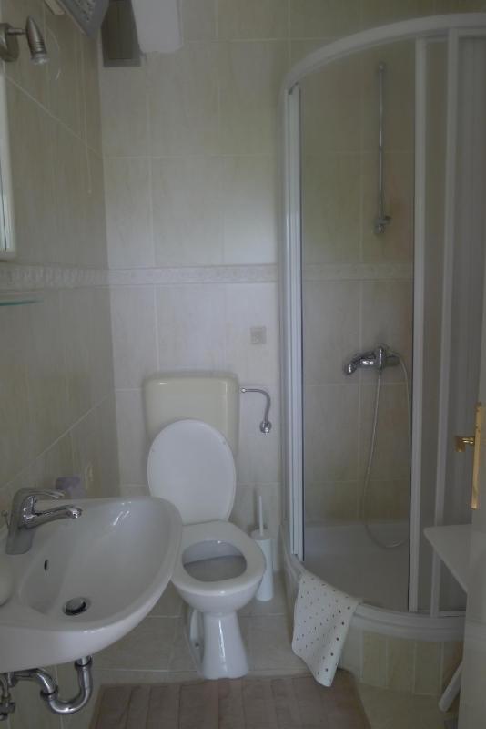 One-Bedroom Apartment image 2