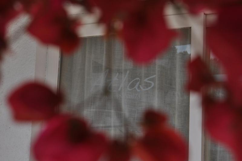 Standard Apartment image 1