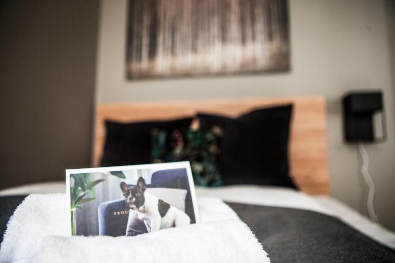 Double Studio image 4