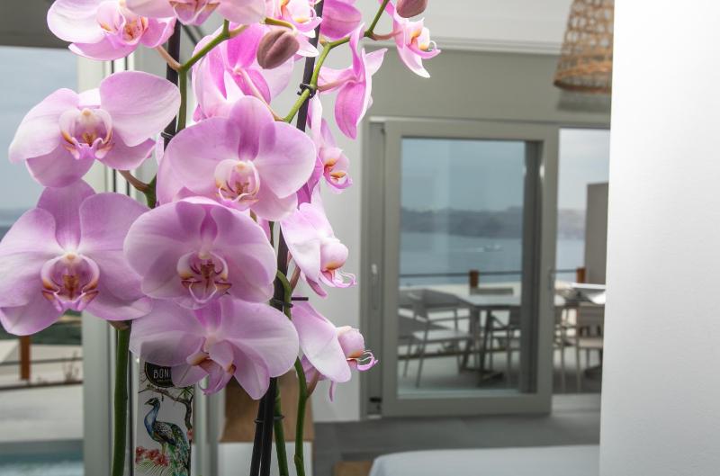 Melidonia Villa with Caldera View and Private Pool image 2