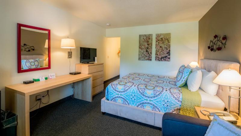 Deluxe Queen Room image 1