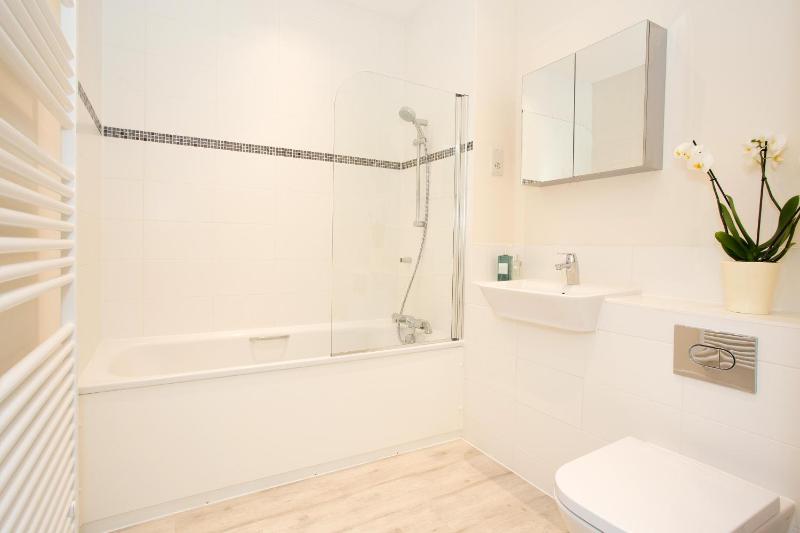 Two Bedroom Apartment  image 4