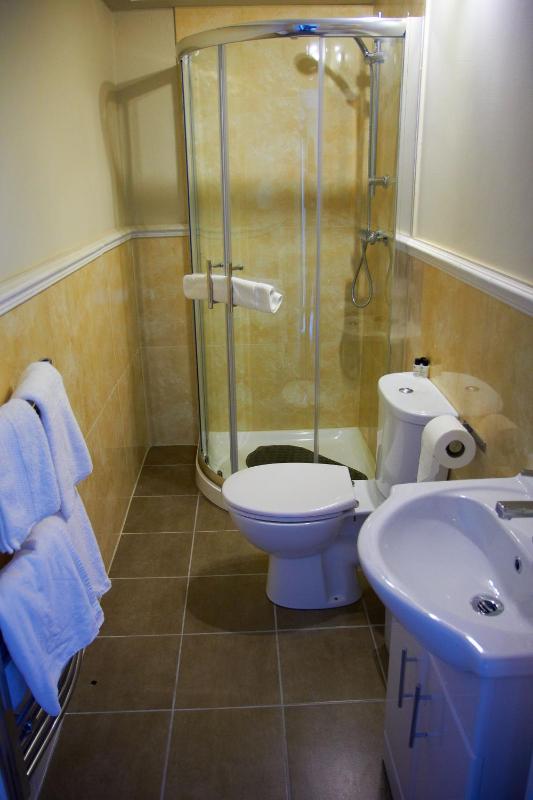 Standard Twin Room image 1