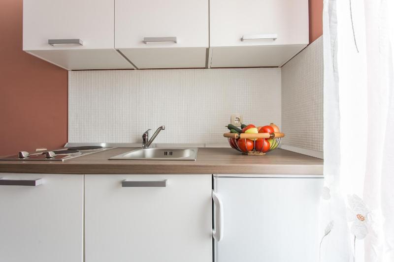 One Bedroom Apartment image 3