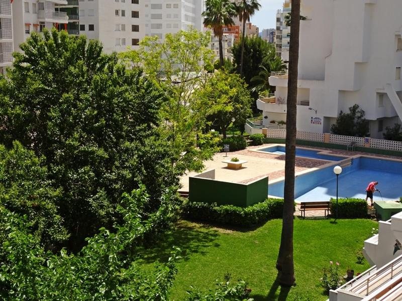 SAFOR GANDIA - Alquiler solo Familias - image 3