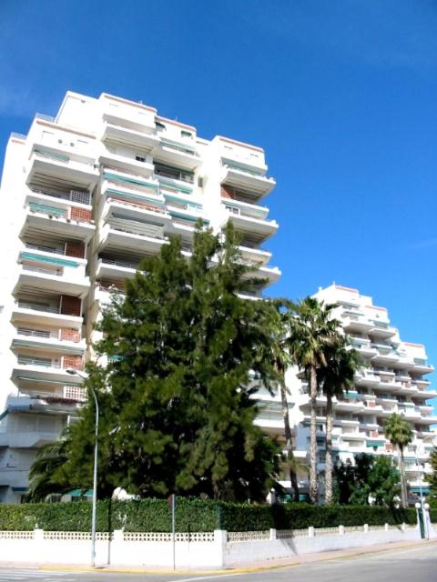 SAFOR GANDIA - Alquiler solo Familias - image 15